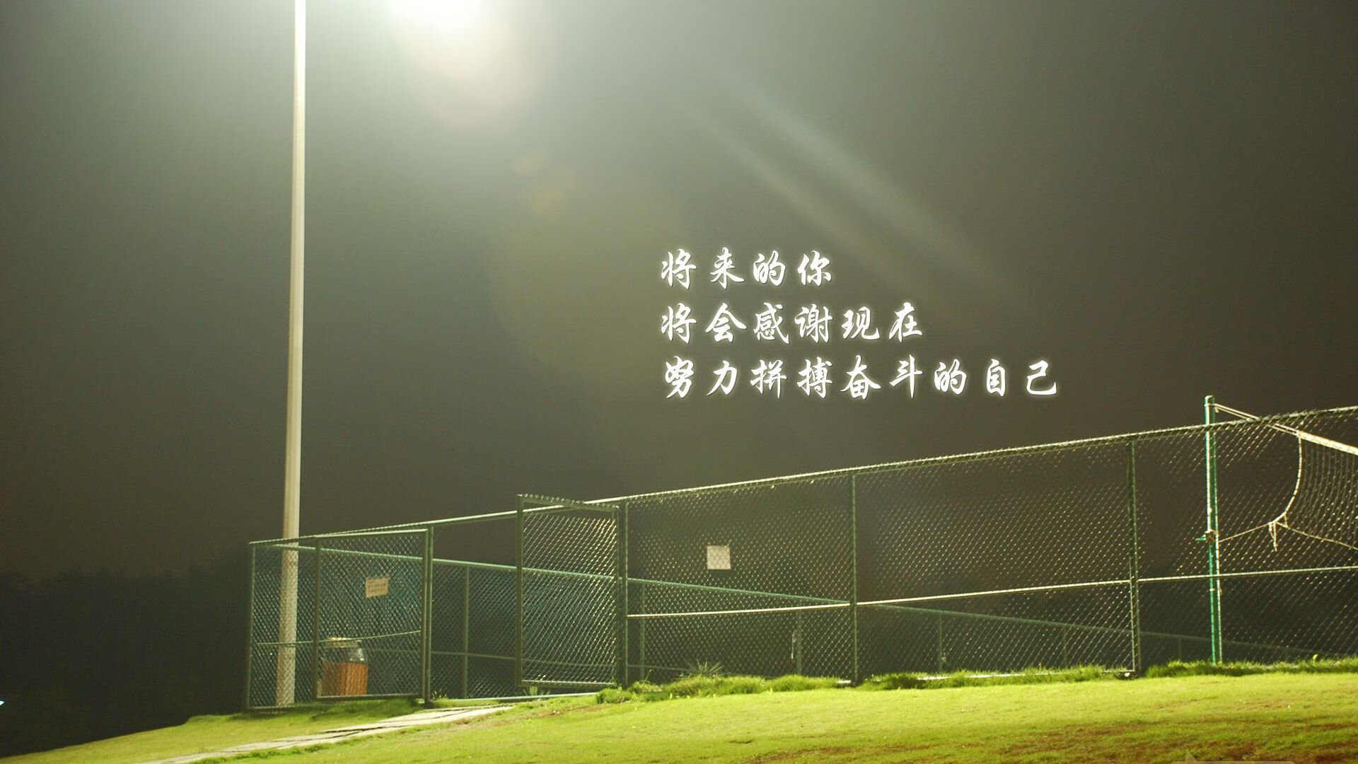 塞内加尔骑手阿卜杜·巴荣获2024年最佳障碍赛骑手奖，表彰其卓越表现。