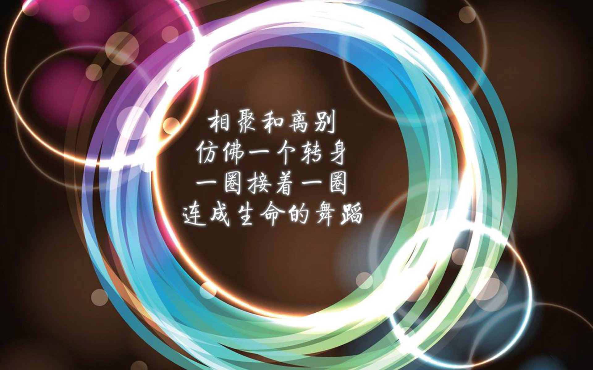 男子篮球联赛收官，冠军队伍创历史最佳战绩，男篮 冠军