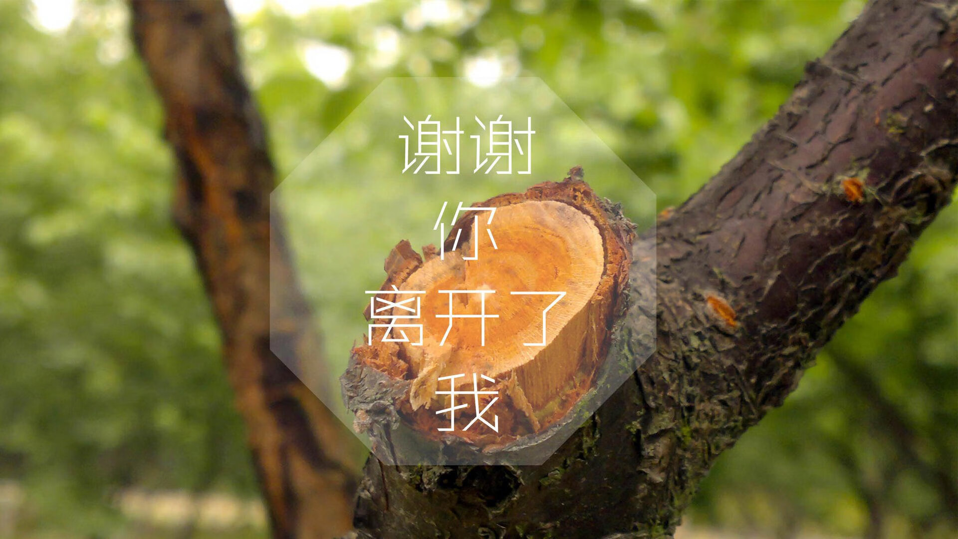 亚非篮球联赛开赛倒计时，全球球迷翘首期待，亚非国际集团