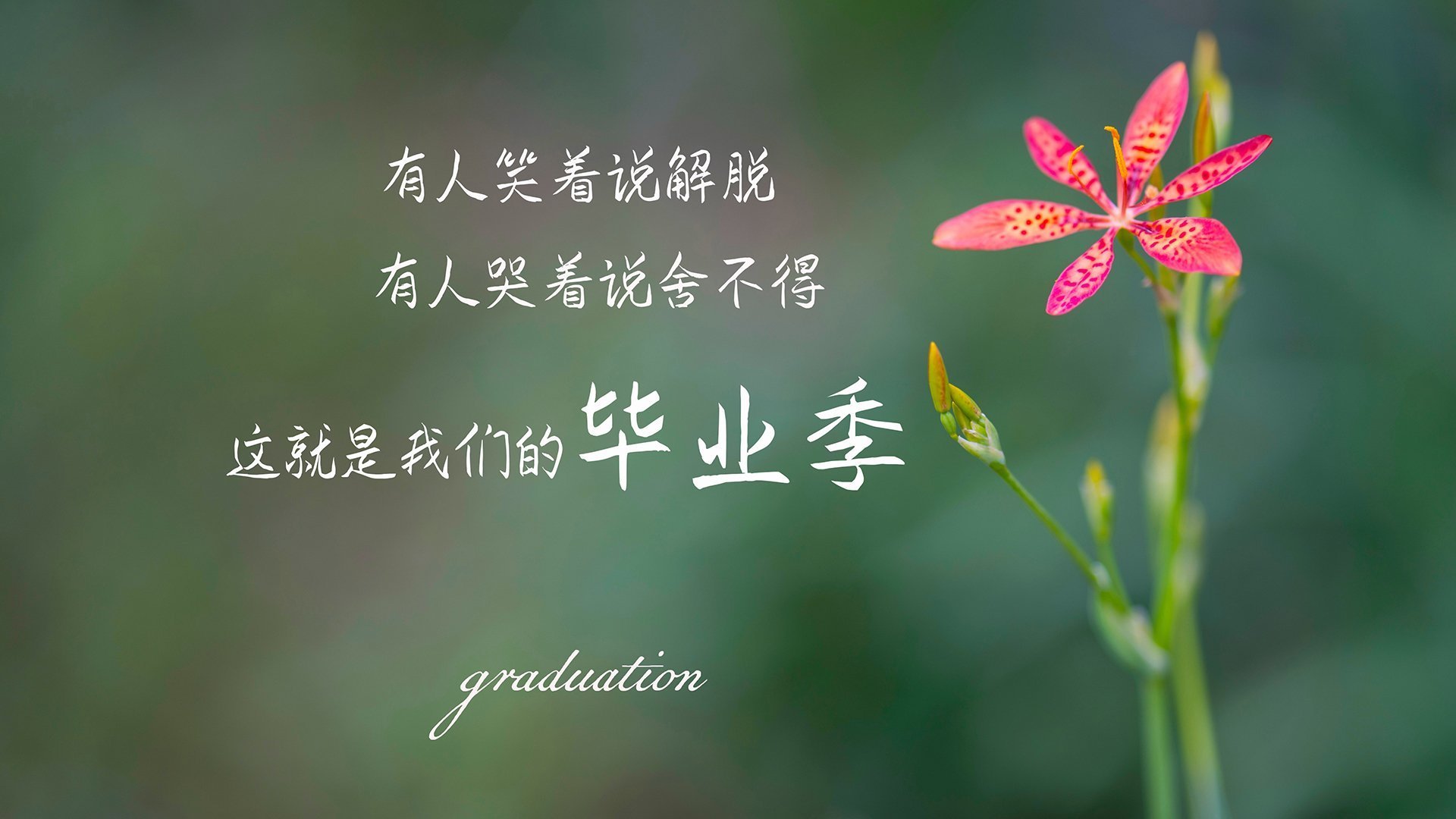 卓尔擦肩降级深陷泥潭，努力逃脱保级险境，卓尔到底是做什么的_