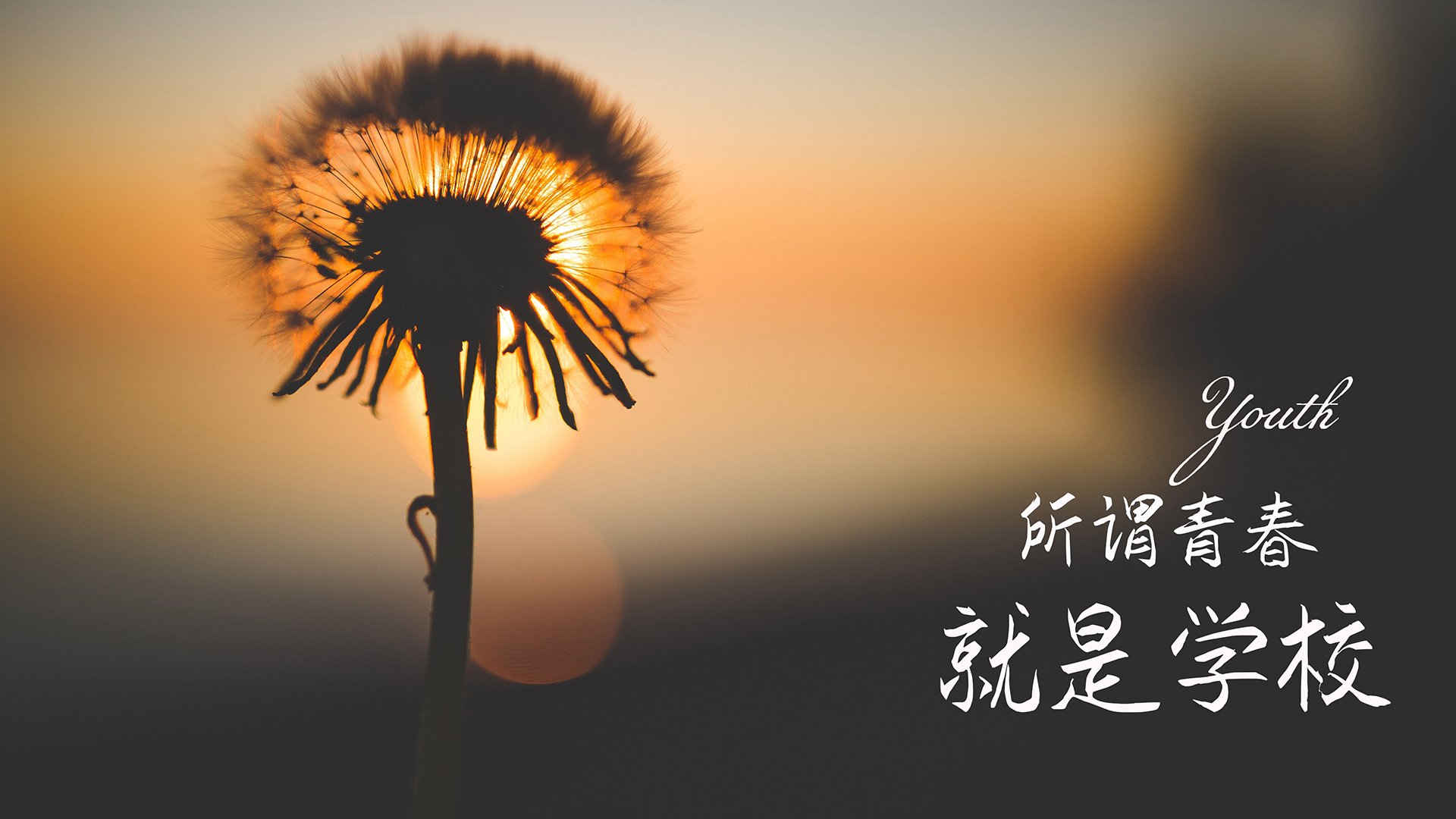 洛杉矶FC备战美国国家德比，力争胜利，洛杉矶fc比分