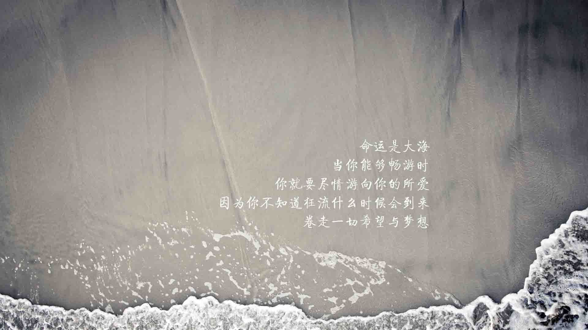 世界青少年水上运动锦标赛火热开启，青少年宫水上世界