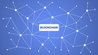 乐鱼体育App下载-英超青训引入虚拟现实技术强化战术理解，英超青训最好的球队