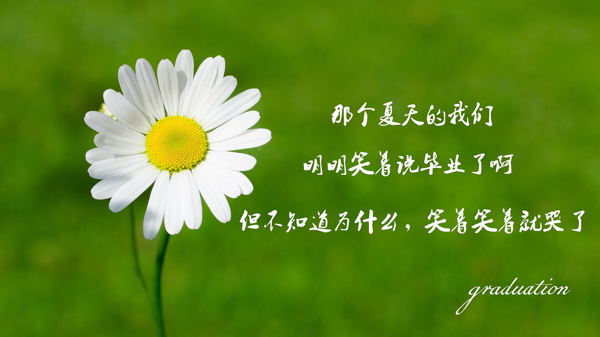 LeyuSports-外援上场时间是否应进行总量限制，外援什么时候上场的