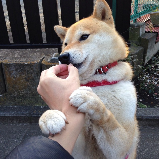 中小学篮球周边产品开发丰富校园体育文化，小学篮球文化活动周活动方案