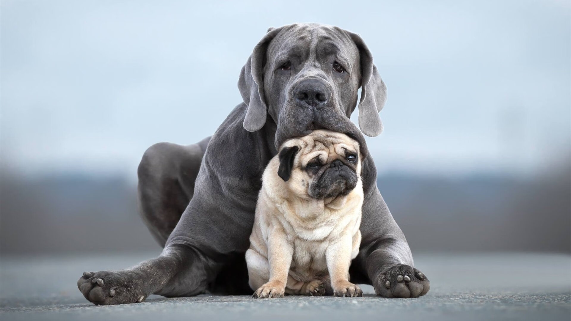 欧洲杯的数字化内容传播创新，欧洲杯要用到的数学知识